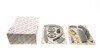 Комплект цепи ГРМ Porsche Cayenne (92A/9PA)/Panamera (970) 4.8 V8 09- (z=266/120) (opt-om) AIC 59822Set (фото 1)