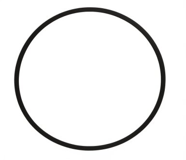 Кільце гумове AJUSA 24034300