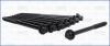 Комплект болтів ГБЦ MITSUBISHI OUTLANDER (II,III), PAJERO SPORT III 3.0i (8шт) AJUSA 81056600 (фото 1)