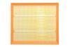 Фільтр повітряний Peugeot Partner 1,2L 16-, 208/2008 1,2L 13-, 308/3008 1,2L 15- / Citroen Berlingo 1,2L 16-, C3 1,2L Альфа ALPHA FILTER AF1869 (фото 1)