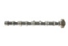 Розподільний вал VW Caddy III/IV/ T5/T6/ Crafter 30-50 2.0 TDI 10- (сторона впуска) (чавунний) UA63 AMC 647390 (фото 1)
