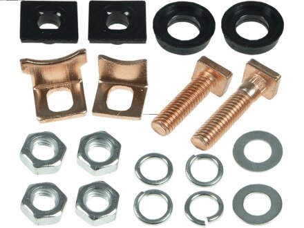 Ремкомплект стартера (детали стартера, заглушки, шайбы) КОНТАКТЫ ВТЯГАЮЩЕГО РЕЛЕ 133635 PL AS-PL SP6006