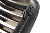 Решітка радіатора BMW X5 (E70)/X6 (E71) 06-14 (к-кт) (opt-om) AUTOTECHTEILE 700 0322 (фото 3)