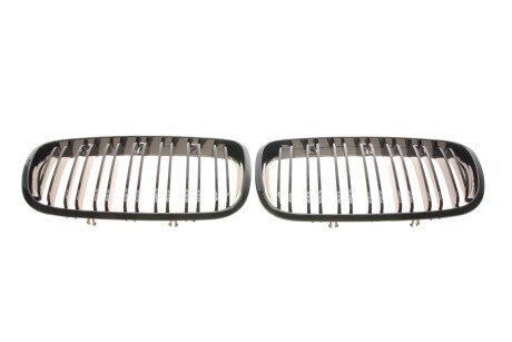 Решітка радіатора BMW X5 (E70)/X6 (E71) 06-14 (к-кт) (opt-om) AUTOTECHTEILE 700 0322