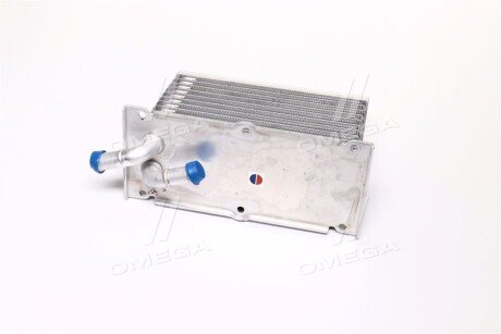 Интеркуллер VAG 1,2TSI 1,4TSI Fabia II Octavia II Golf VI AVA AVA COOLING VN4397