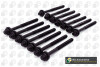 Комплект болтов с головкой системы TORX из черного металла BMW 3 SERIES 2005-2007, 5 SERIES 2004-2007, 7 BGA BK5316 (фото 1)