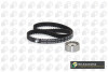 Роликовый модуль натяжителя ремня (ролик, ремень) RENAULT CLIO 2000-2001, KANGOO 2009-2011 BGA TB7305K (фото 1)