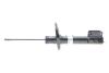 BILSTEIN 22-344649 (фото 1)