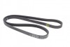 Ремінь генератора Renault Rapid 1.4i 91-98 / Toyota Echo/ Yaris Verso1.3-1.5 99-05 (4PK1185 (opt-om) BLUE PRINT AD04R1183 (фото 3)