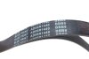 Ремінь генератора Citroen Berlingo/ Fiat Scudo 1.9D/ Ford Fiesta 1.3 95-03/ Hyundai Accent 1.5 UA63 BLUE PRINT AD06R1440 (фото 2)