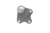 Опора шаровая (передняя/снизу)/R) VW Polo/Skoda Fabia 1.0-2.0 99- UA63 Borsehung B11339 (фото 2)