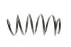 Пружина (передня) VW Caddy 04-/Passat 05-14 (OE VAG) UA63 Borsehung B12623 (фото 4)
