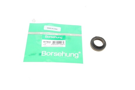 Сальник штока кулиси КПП VW Caddy 1.5-1.8 82-04 (opt-om) Borsehung B17833