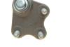 Опора кульова (передня/R) VW Polo/Skoda Fabia 1.0-2.0 99- UA63 Borsehung B18694 (фото 4)