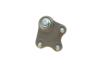 Опора кульова (передня/R) VW Polo/Skoda Fabia 1.0-2.0 99- UA63 Borsehung B18694 (фото 5)
