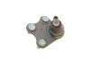 Опора кульова (передня/R) VW Polo/Skoda Fabia 1.0-2.0 99- UA63 Borsehung B18694 (фото 8)