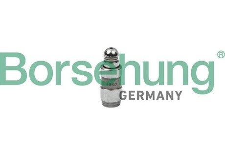 Гидрокомпенсатор Borsehung B18826