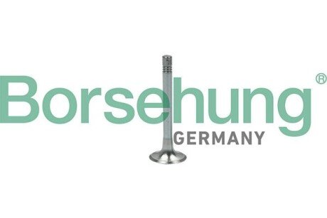 Клапан выпускной Borsehung B18999