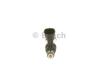 Форсунка бензинова BOSCH 0261500417 (фото 1)