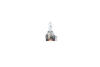 Лампа накаливания H15 55/15W 12V PGJ23T-1 Pure Light BL C.I.U BOSCH 1 987 301 099 (фото 4)