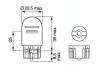 Автолампа W21/5W 12V 21/5W W3x16q Pure Light 380W (без цоколя) (opt-om) BOSCH 1 987 302 252 (фото 6)