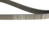 Ремінь поліклиновий C.I.U BOSCH 1 987 945 700 (фото 5)
