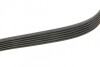 Реминь генератора Audi A3/Skoda Octavia/VW Passat B8 1.6TDI/2.0TDI 12-/Caddy 2.0TDI 15- (6P UA63 BOSCH 1 987 946 144 (фото 3)