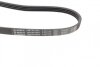 Ремінь генератора Hyundai i10/i20/i30 1.1/1.6CRDi 08-13/Fiat Doblo/Punto/Stilo 1.2/1.4 (opt-om) BOSCH 1 987 947 961 (фото 3)