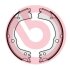 Гальмівні колодки барабанні BREMBO S30543 (фото 1)