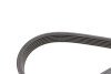 Комплект ременя генератора BMW 5 (G30/F90)/7 (G11/G12) 3.0 d (B57) 15-20 (6PK1153) CONTINENTAL UA63 Contitech 6PK1153K5 (фото 4)