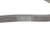 Ремінь генератора MB C-class (W203) 00-08 CONTINENTAL UA63 Contitech 6PK2190 (фото 3)