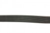 Реминь генератора MB Sprinter 3.0CDI 07- (AC) CONTINENTAL 6PK691 ELAST UA63 Contitech 6PK691ELAST (фото 2)