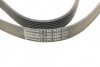 Ремінь поліклиновий BMW, RENAULT TRUCKS, ROVER -ua Contitech 7PK1580 (фото 3)