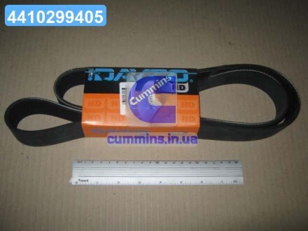 Ремінь поліклін. TRUCK DAYCO 10PK1460HD
