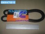 Ремінь клиновий TRUCK DAYCO 13A1250HD (фото 1)