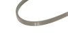 Ремінь поліклиновий CHEVROLET MATIZ (M200, M250) 0.8 DAYCO 3PK668 (фото 5)