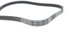 DAYCO 4PK1755 (фото 4)