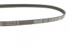Ремінь генератора BMW 3 (E36)/5 (E39)/7 (E38) 2.5TD UA63 DAYCO 4PK780 (фото 2)