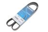 DAYCO 5PK1175 (фото 2)