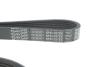 Ремень поликлиновый DAYCO 6PK1027EE (фото 4)