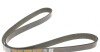 Реминь генератора Hyundai i30 1.4i 07-12 (opt-om) DAYCO 6PK1255HD (фото 3)