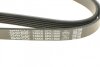 Ремінь поліклін. Daewoo Leganza, Nubira DAYCO 6PK1900 (фото 4)
