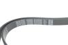DAYCO 6PK2200S (фото 4)