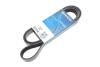 DAYCO 7PK1800 (фото 2)