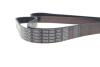 DAYCO 7PK1800 (фото 4)