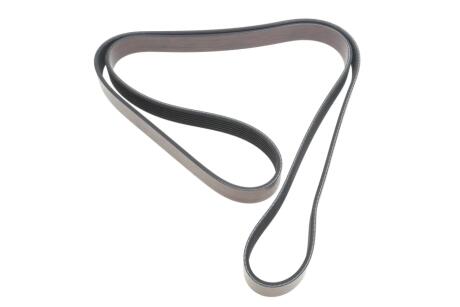 DAYCO 7PK1800