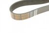 Ремінь полікліновий MERCEDES DAF CF, XF; MERCEDES ACTROS MP4, ANTOS, AROCS, ATEGO 3 DAYCO 8PK2317HD (фото 4)