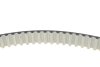 Ремінь зубчастий (довж. 60-150) OPEL ASTRA 1.7CDTI-ТЕФЛОН (БЕЛЫЙ) DAYCO 94969 (фото 3)