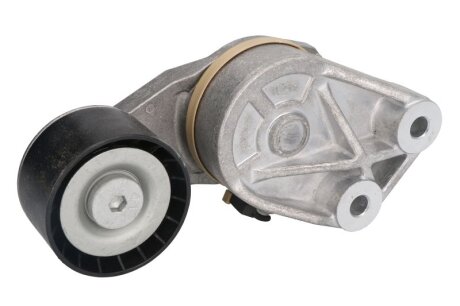 Ролик натяжной RVI, VOLVO DAYCO APV1117