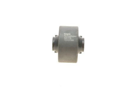 Delphi TD1379W